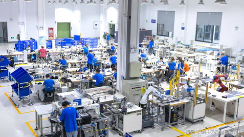 捂了三年，阿里的犀牛工廠到底在“織”什么？